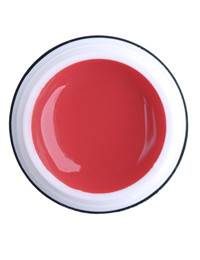 1739928104_rich-gel-point