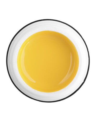 1748954445_gel-kraska-rich-gel
