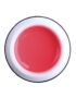 1749006464_gel-kraska-rich-gel