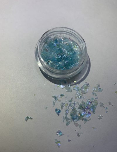 2816979840_slyuda-obychnaya-10