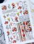 5672050592_slajder-richcolor-foil