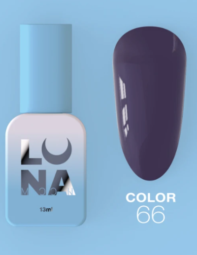 66